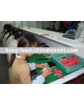 Shijiazhuang King Lead I/E Co., Ltd.